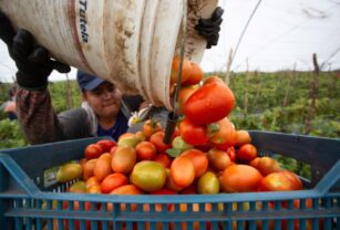 economia en Mexico