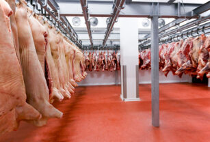 aumento de carne