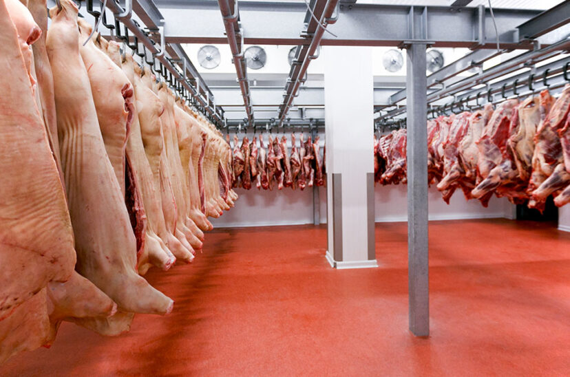 aumento de carne