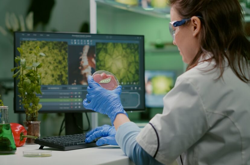Cultivan proteína de cerdo en soja rosada con agricultura molecular