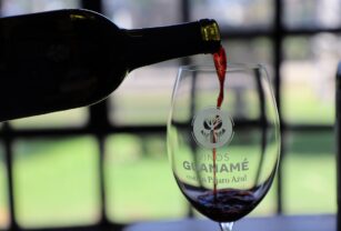 Guanajuato-presenta-la-ruta-del-vino