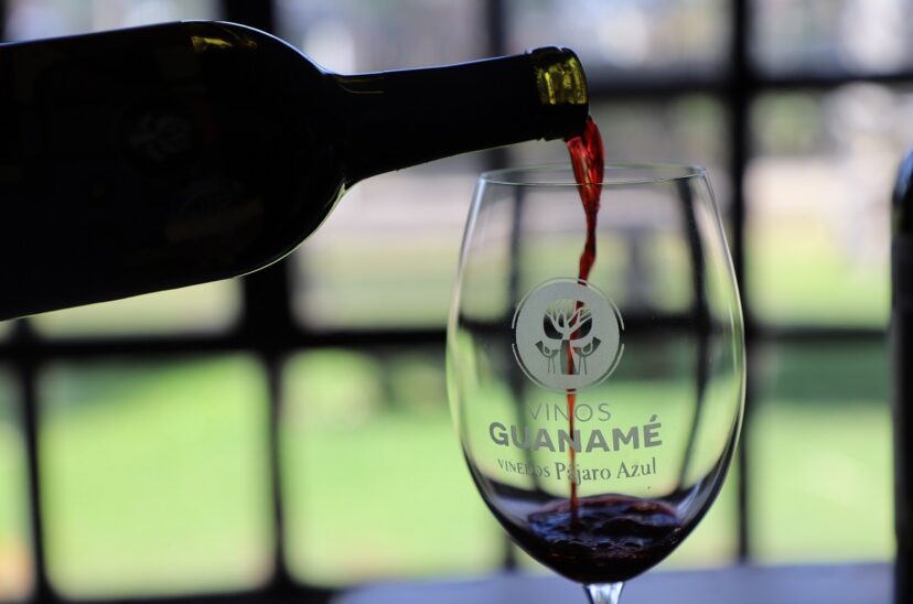 Guanajuato-presenta-la-ruta-del-vino