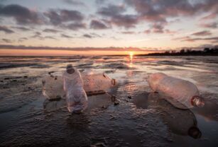 _botellas_plastico_playa