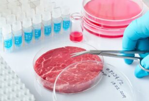 carne-cell-based