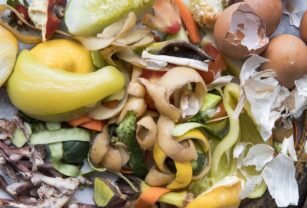 desperdicio-de-alimentos