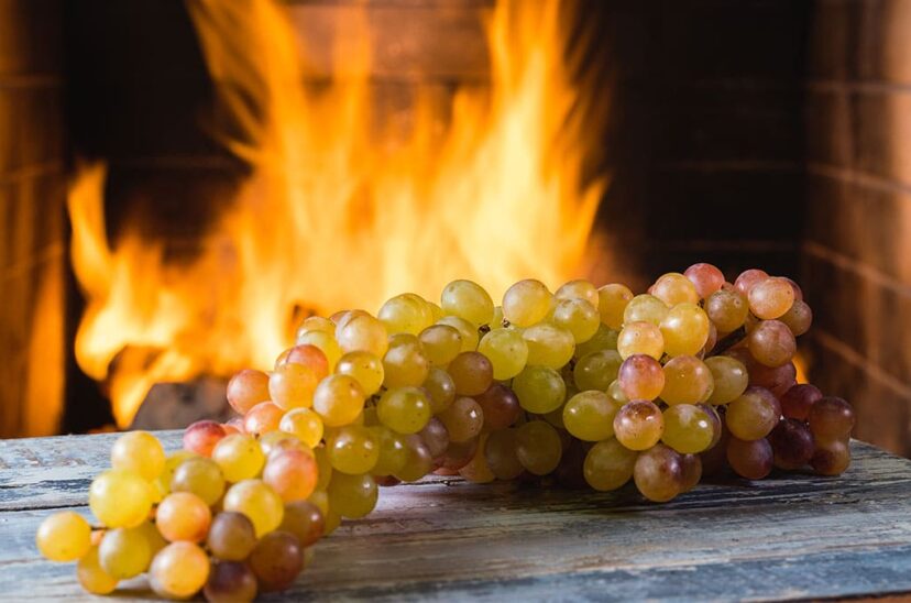 vino