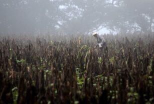 fenomeno climatico