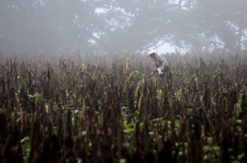 fenomeno climatico