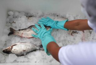 pesca en peru