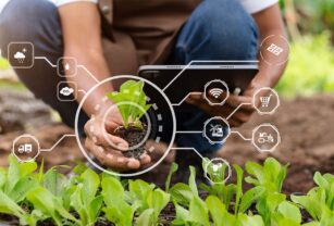 agricultura