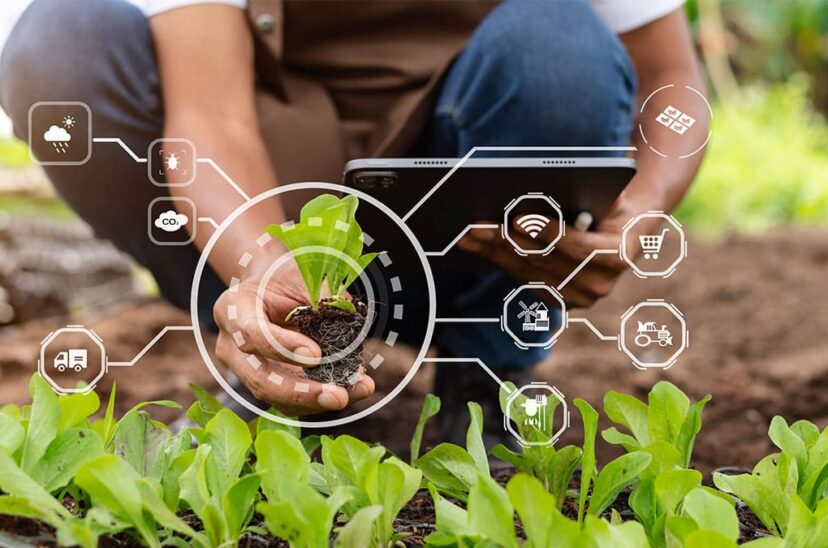 agricultura