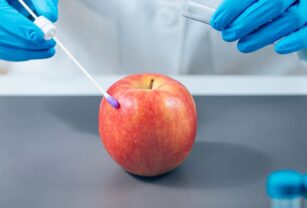 manzana