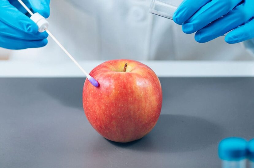 manzana