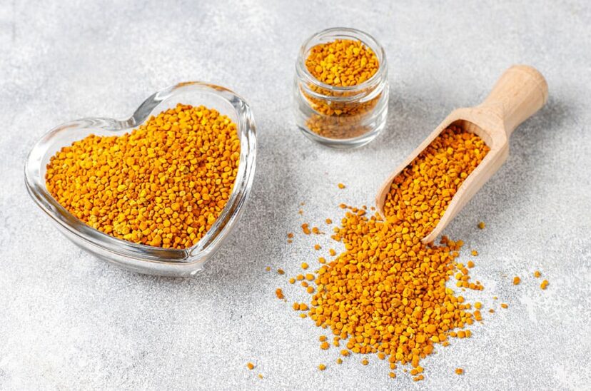 semilla de canola