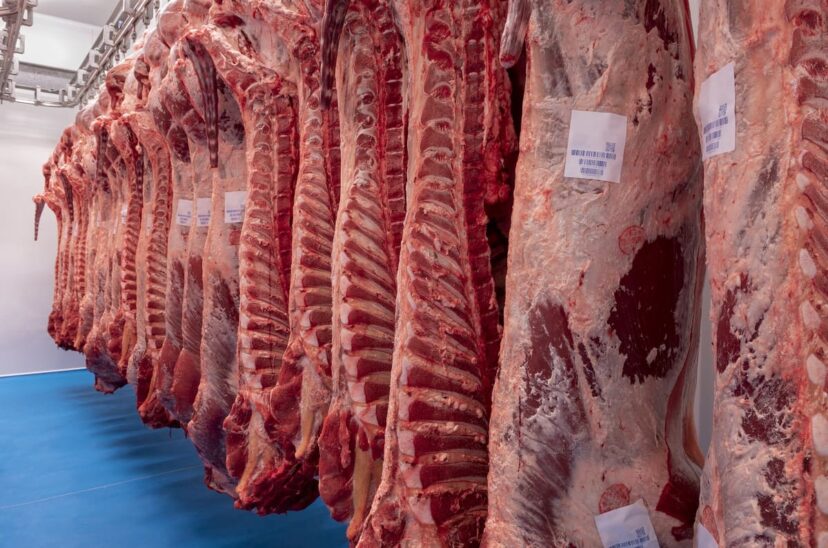 carne-roja-exportacion