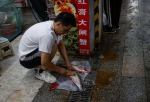 Hong Kong