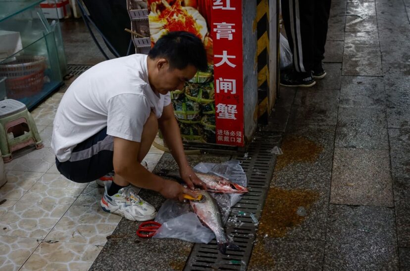 Hong Kong