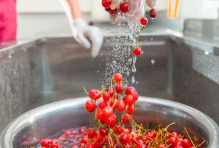 inocuidad de alimentos