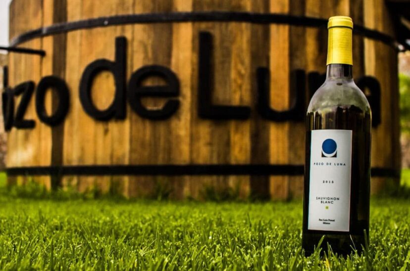 vino mexicano