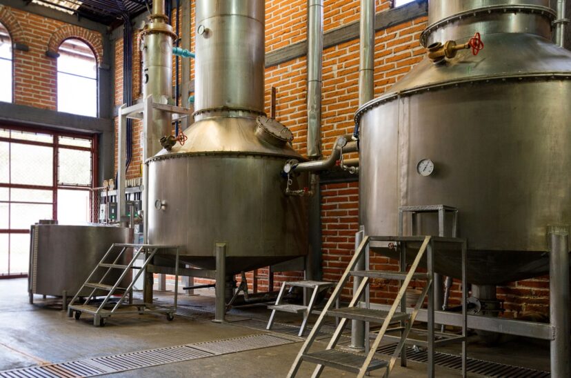 produccion-de-tequila