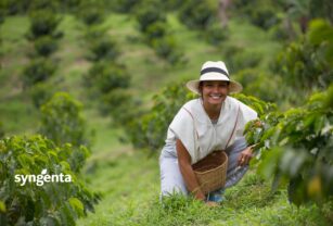 syngenta-imagen-con-logo