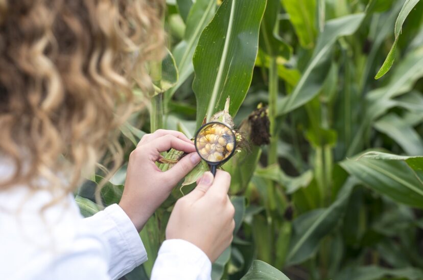 tecnicas-genomicas-agro
