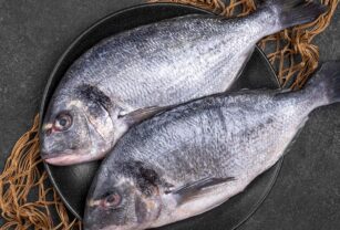 totoaba