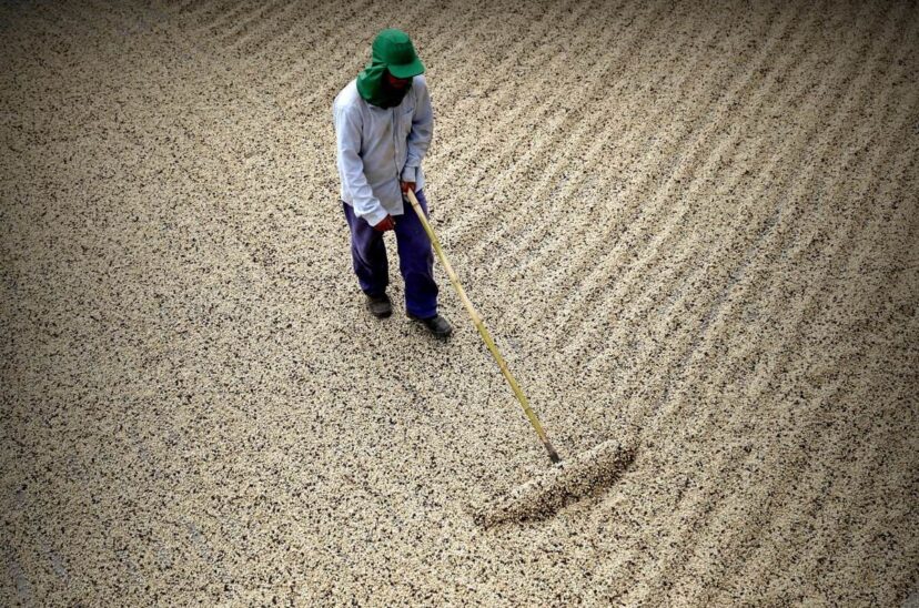 cafe de brasil