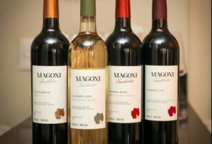 Magoni-linea-de-vinos