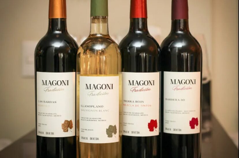 Magoni-linea-de-vinos