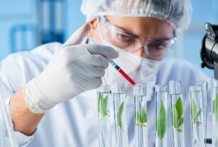 alimentos del futuro