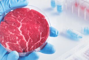 carne a base de celulas