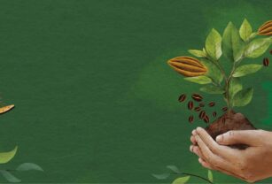 nestle-mexico-regeneracion-valor-compartido
