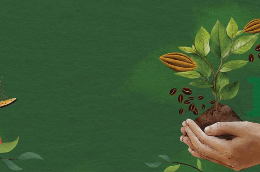 nestle-mexico-regeneracion-valor-compartido