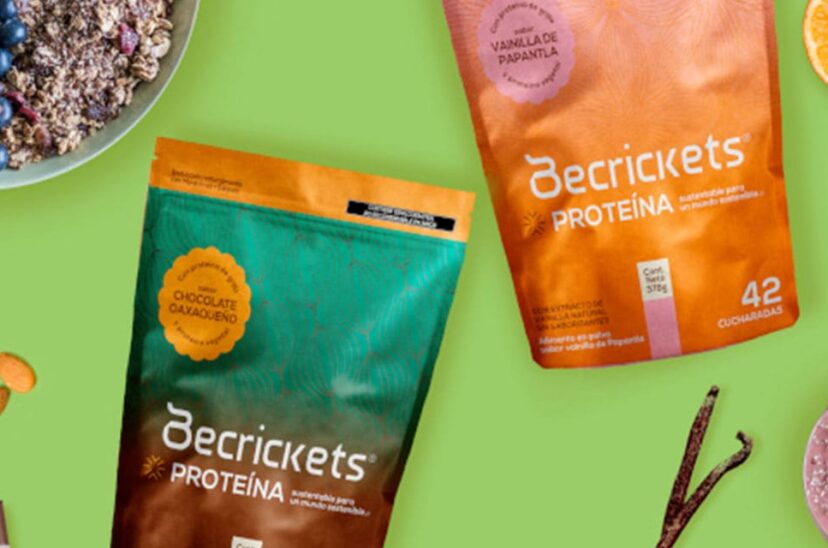 proteina de grillo
