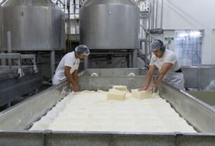 Desarrollan queso sin lactosa con apoyo del INTI