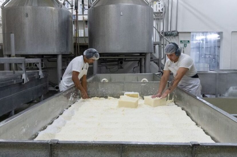 Desarrollan queso sin lactosa con apoyo del INTI