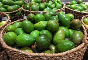 aguacate