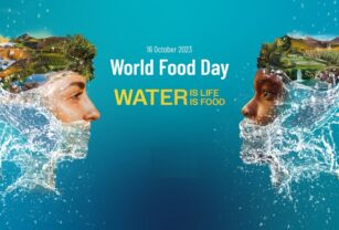 día-mundial-de-la-alimentación-23