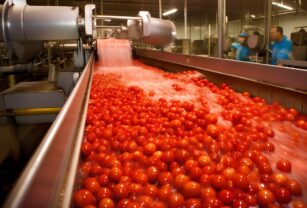 tomate