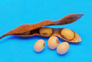 whole-new-world-of-soya
