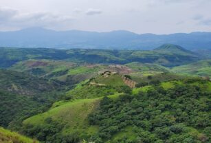 Nayarit-productor-de-vinos