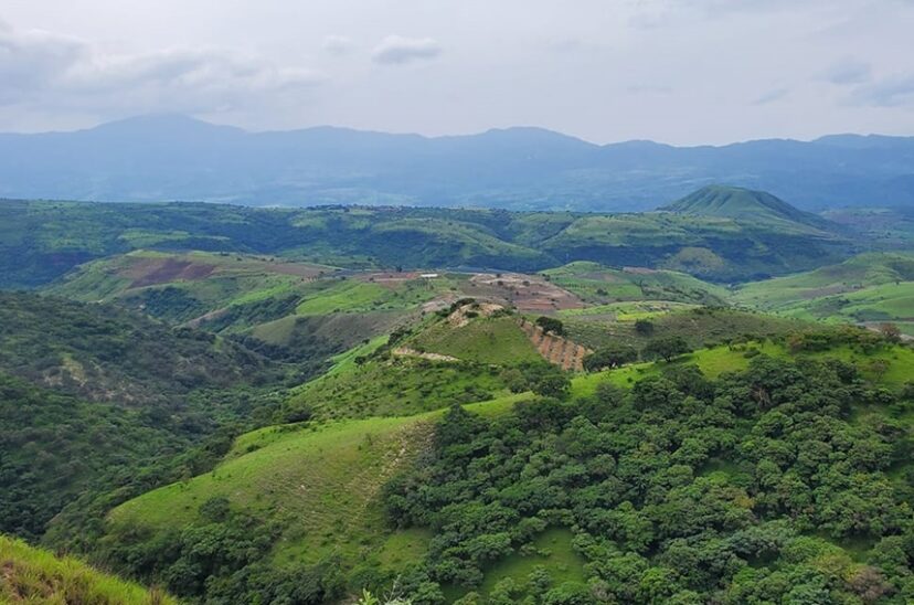 Nayarit-productor-de-vinos