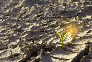 cambio-climático-alimentos