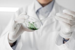 microalgas-investigación