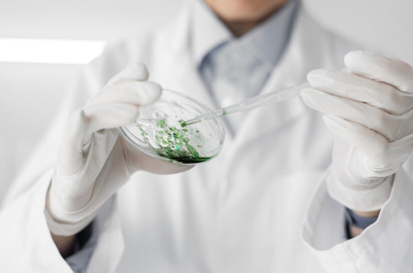 microalgas-investigación