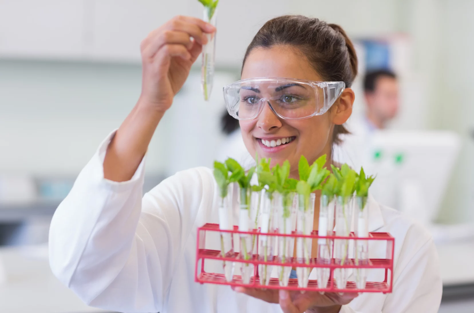 alimentos del futuro