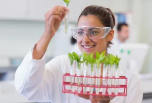 alimentos del futuro